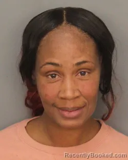 Mugshot of STEPHANIE NICOLE BURT