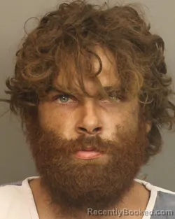 Mugshot of TRISTIN RAY HENDERSON