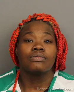 Mugshot of LATASHA PATREECE WILLIAMS