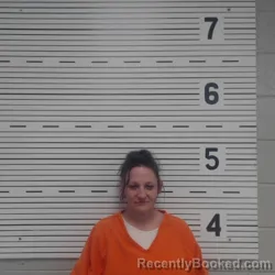 Mugshot of BRANDI LEE NETTLES