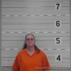 Mugshot of SHERRI LYNN NIX