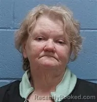 Mugshot of PATRICIA ANN SIMS