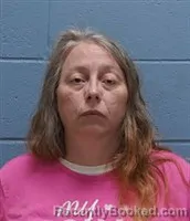 Mugshot of LISA MARIE VARGAS