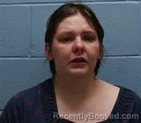 Booking photo from Lee County, Alabama