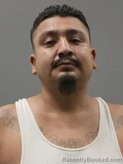 Mugshot of EDDIE ALVAREZ