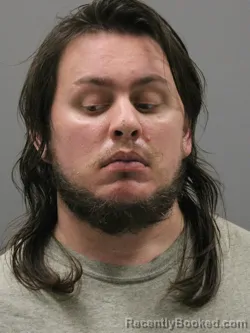 Booking photo from Limestone County, Alabama