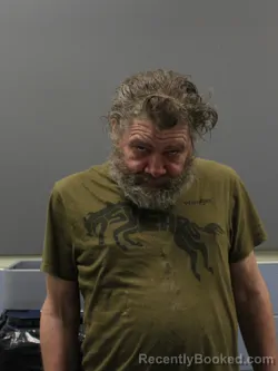 Booking photo from Limestone County, Alabama