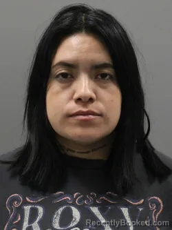 Mugshot of ANDREA VARGAS JOAQUIN