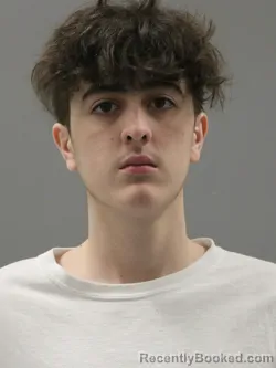 Mugshot of LANDON DANNER TERRONES