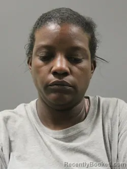 Mugshot of BETTINA DEANNE SUMMERS