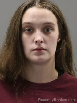 Mugshot of ALYSSA NICOLE JONES