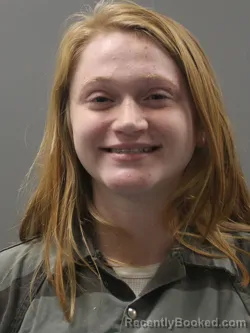 Booking photo from Limestone County, Alabama