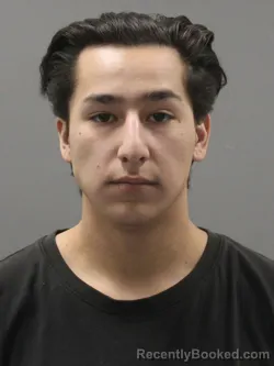 Mugshot of JR JOSE SANTOS MEDINA