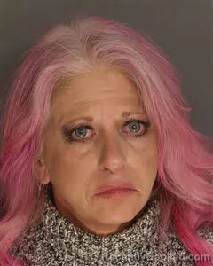 Mugshot of Robin Aaron