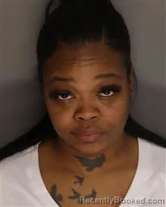 Mugshot of Terrace Shalet Ashe