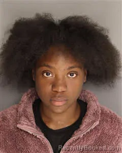 Mugshot of Jmi Coolyn Leeanne Memminger