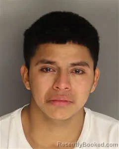 Mugshot of Mario Fidadelfo Velasquez-Gomez