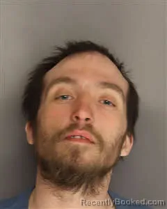 Mugshot of Tyler Brian Watkins