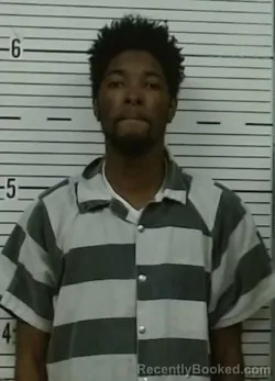 Mugshot of DAMARIYAE GIBBONS