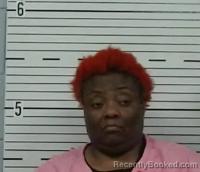 Mugshot of SANDRA THOMAS