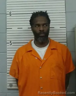 Mugshot of DURELL LAISTER