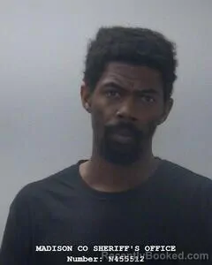 Booking photo from Madison County, Alabama