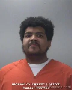 Booking photo from Madison County, Alabama