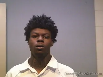 Mugshot of WILKERSON