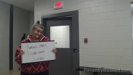 Mugshot of AMARIS SANCHEZ