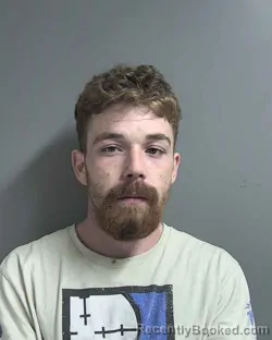 Mugshot of DALTON ROBERT LEE HOLLOWAY