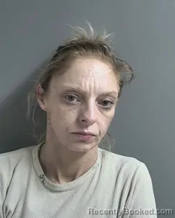Mugshot of JULIA ANN HANNIFORD
