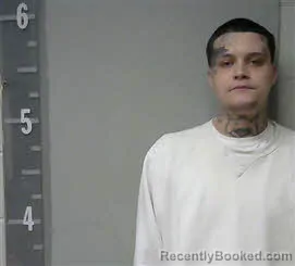 Mugshot of Devin Shane Nixon-Watwood