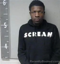 Mugshot of FAIZON DAVIS