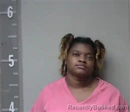 Mugshot of MERIYANNA NICOLE MATTHEWS