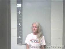 Mugshot of Michelle Lynn ROSH