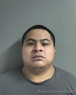 Mugshot of JESUS DOMINGO