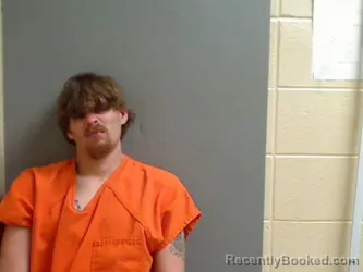 Mugshot of AUSTIN JAMES WILLIAMS