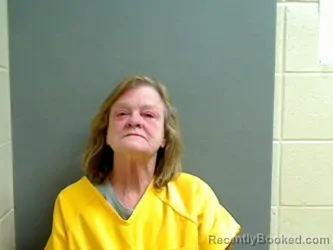 Mugshot of CAROLYN WILLIAMS
