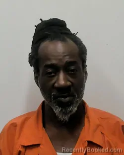 Mugshot of RONALD EARL JOHNSON