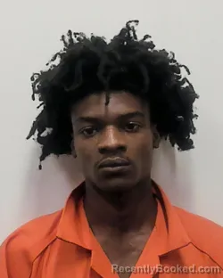Mugshot of TRI DELL DEVON JAMES