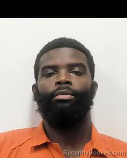 Mugshot of KAELIN CHACORE PETTUS