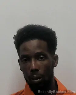 Mugshot of DEMORRIUS ANTWAN WELLS