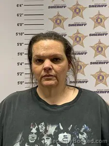 Mugshot of LINDSAY SUZANNE YOUNG