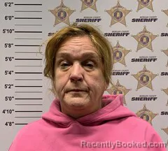 Mugshot of MELISSA MCELROY HOLMES