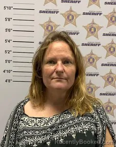 Mugshot of LAURA COLLEEN MATKIN