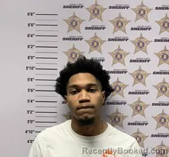 Mugshot of ZAYLEN MEHKI PRUITT