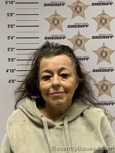 Mugshot of DIANE HAMRIC
