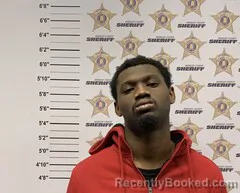 Mugshot of ELI ANTOINUS ROSS