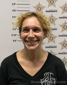 Mugshot of BRANDY MICHELLE HOLMES