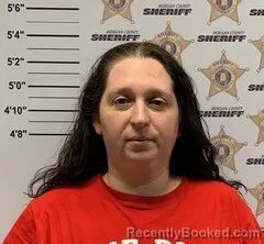 Booking photo from Morgan County, Alabama